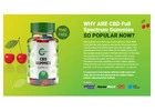 Bliss Bites CBD Gummies - Is It Legit? Real Benefits Or Just a Scam?