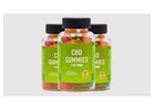 Is Bloom CBD Gummies a Scam? Customer Warning and Reviews