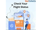 Real-Time Flight Information at Your Fingertips