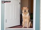 Large Doggie Door - Perfect for Bigger Pets