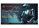Cutting-Edge Flash Loan Arbitrage Trading Bot for Your Trading Business